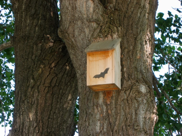 une maison pour chauves-souris dans un parc près des rapides à LaSalle, Québec