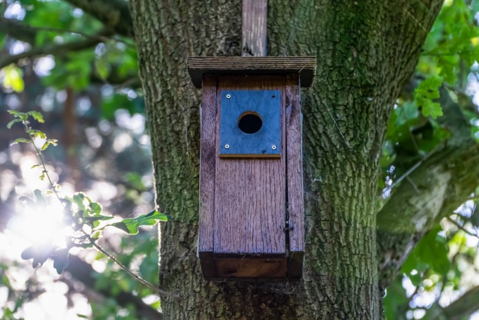 Un nichoir en bois monté sur un arbre dans l'aménagement paysager d'une maison pour dissuader les oiseaux de faire leur nid sous le porche.