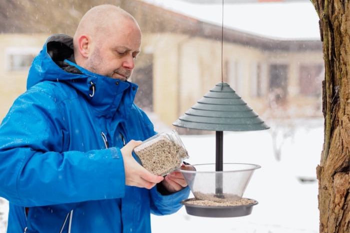 comment attirer les cardinaux