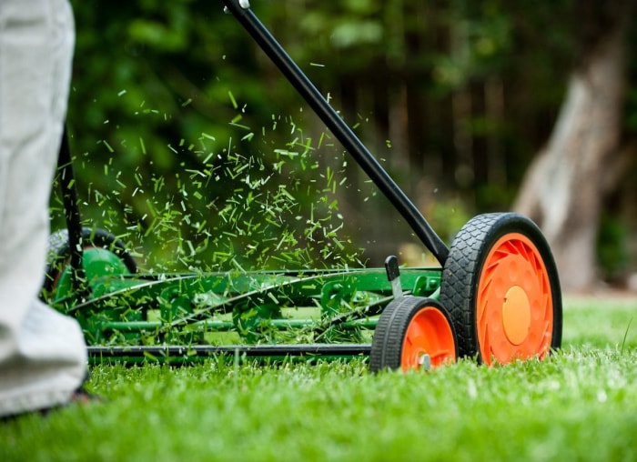 10 façons de laisser la nature faire le travail de jardinage à votre place