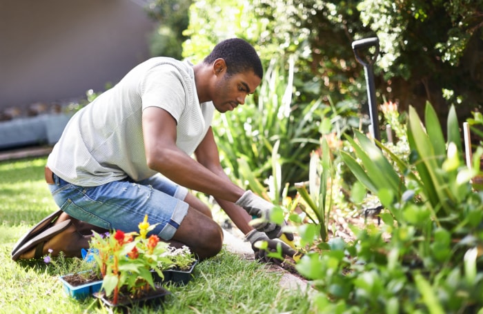 Jeune homme plantant des fleurs