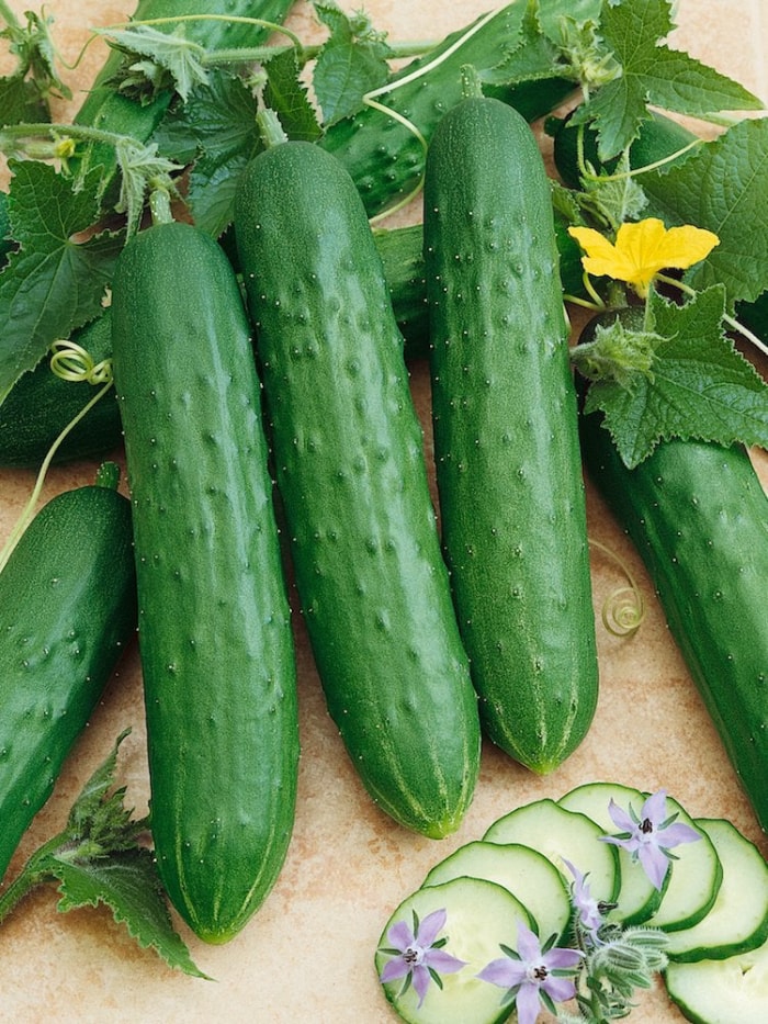 Le jardin indestructible : 15 légumes et herbes aromatiques qui s'épanouiront dans votre espace