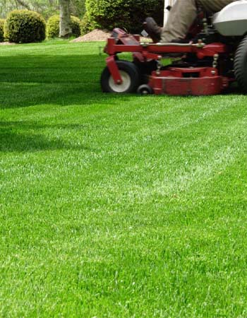 Lawn Doctor contre TruGreen