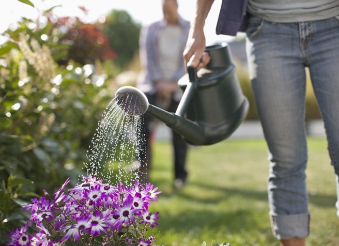 30 habitudes d'économie d'eau à adopter dès maintenant