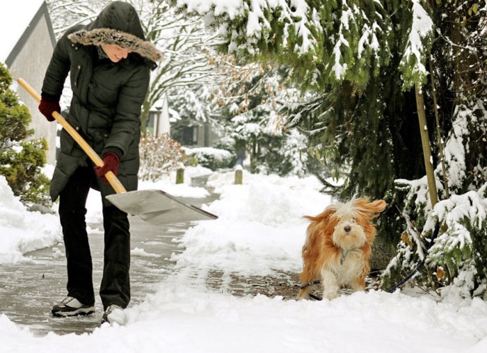 8 astuces astucieuses pour pelleter la neige