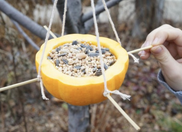 13 autres choses que vous pouvez faire avec une citrouille