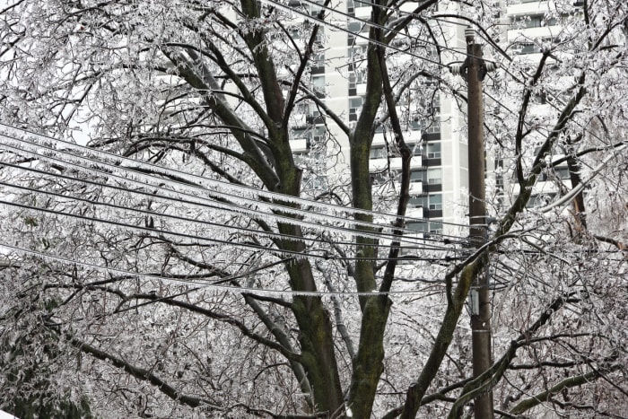 Pluie verglaçante sur les arbres et les lignes électriques.