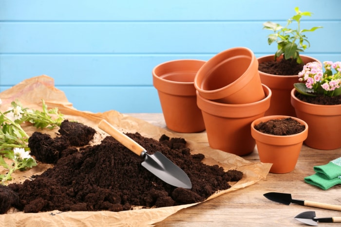 Terre de jardin et truelle à côté d'une collection de pots en terre cuite.