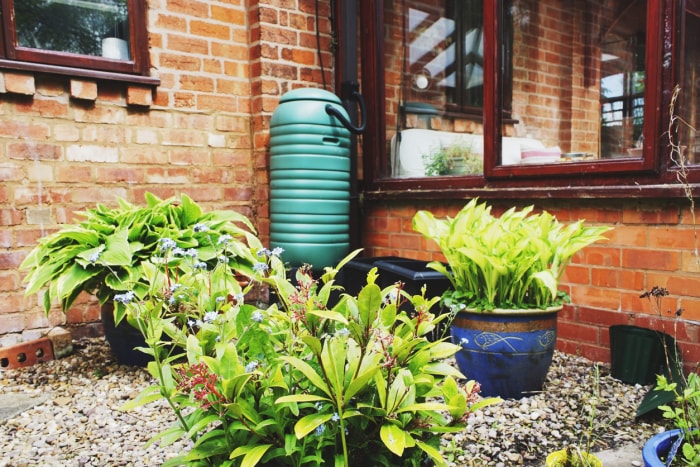 baril de pluie dans le coin d'une maison en briques rouges, patio avec rocaille et plantes