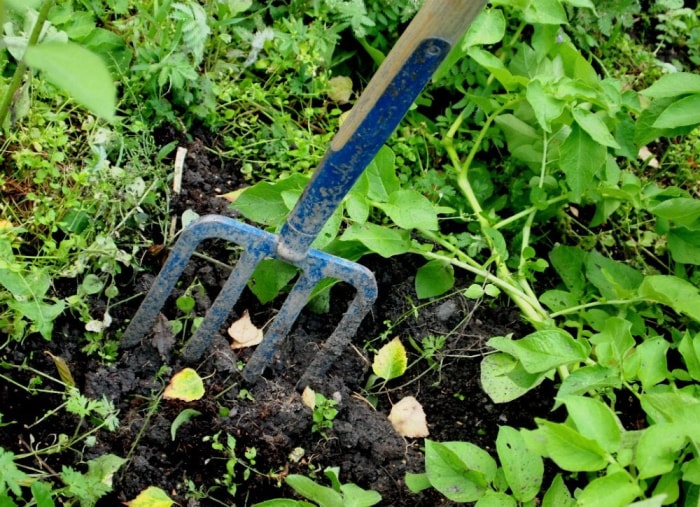 19 trucs de jardinage à prix zéro