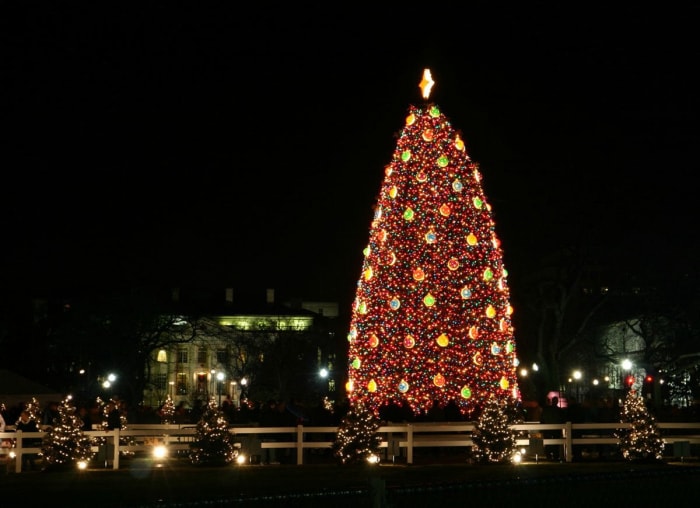 8 choses que vous ne saviez même pas sur les arbres de Noël