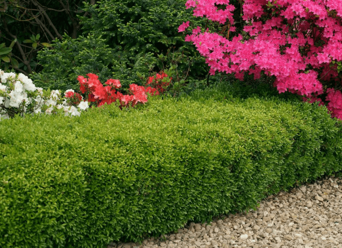 11 idées de clôtures de jardin qui complèteront n'importe quel paysage