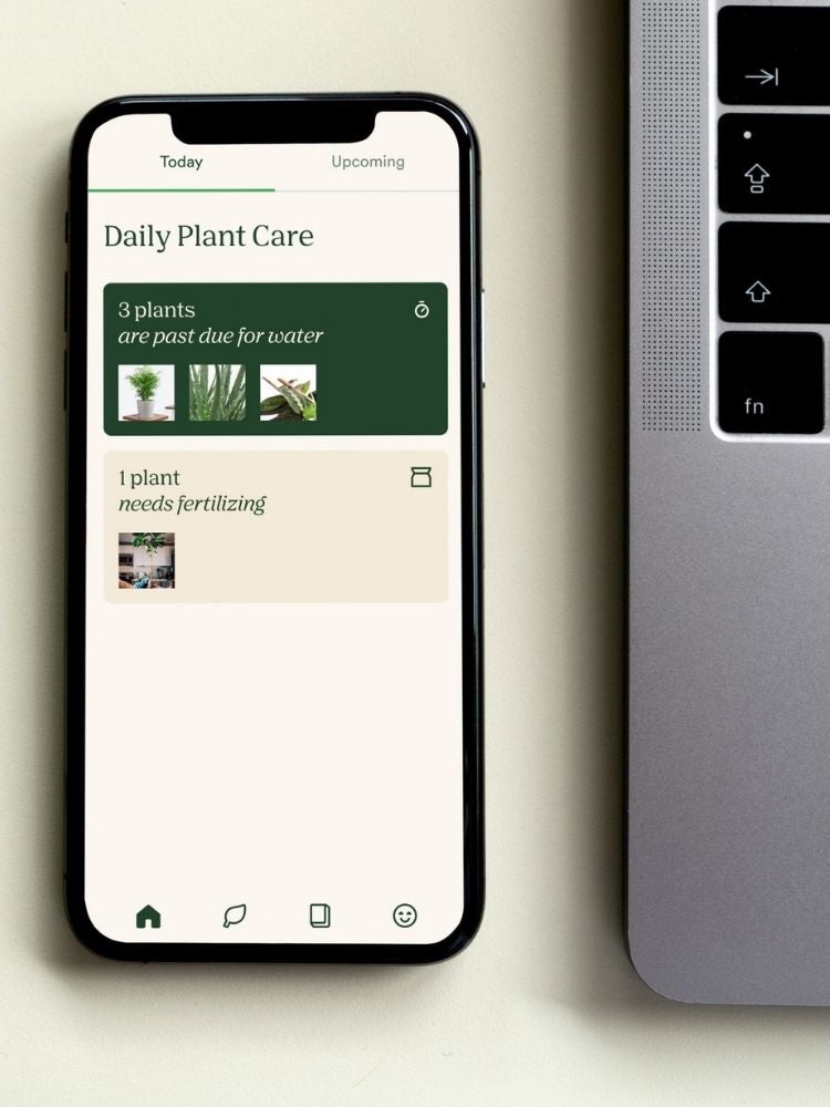 Les meilleures applications de jardinage et d'identification des plantes pour votre smartphone