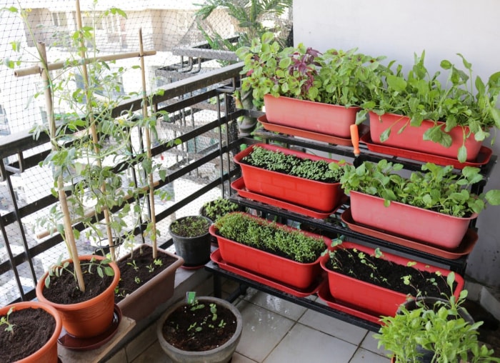 10 idées géniales pour un jardin sur balcon