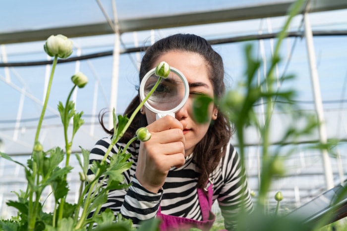 Quel genre de jardinier êtes-vous ?