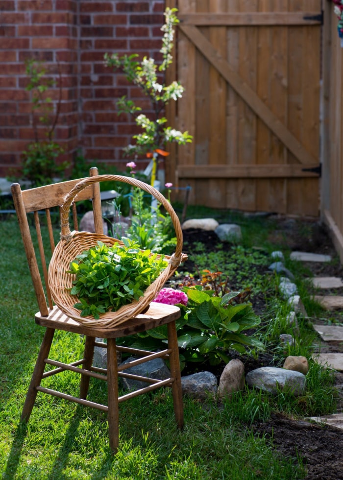 10 tâches de jardinage de saison que vous devriez faire chaque semaine