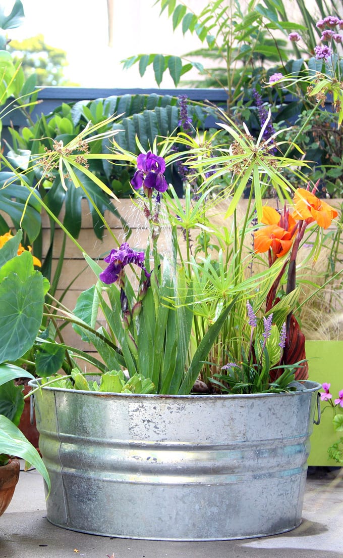 fontaine à eau dans un bac galvanisé avec des fleurs à l'intérieur