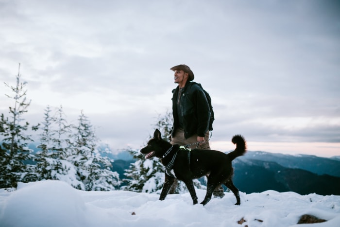 Randonneur et chien dans le Pacifique Nord-Ouest couvert de neige