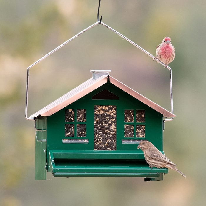 types de mangeoires pour oiseaux - mangeoire à trémie