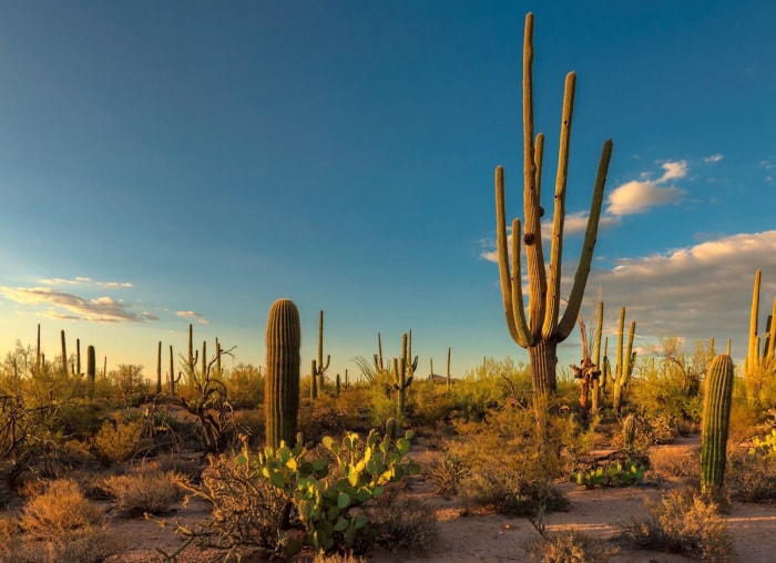 Les meilleurs endroits pour voir le lever du soleil aux États-Unis