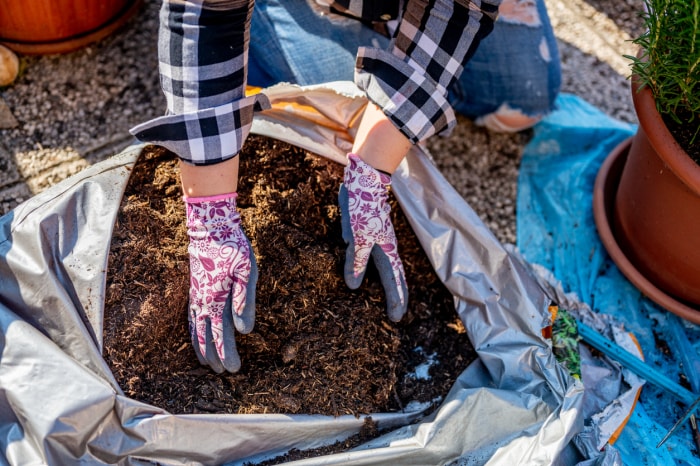 10 raisons pour lesquelles le jardinage peut vous rendre malade