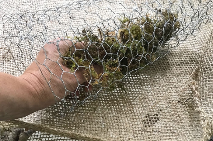 Grillage à poules pour sapin de Noël succulent à faire soi-même