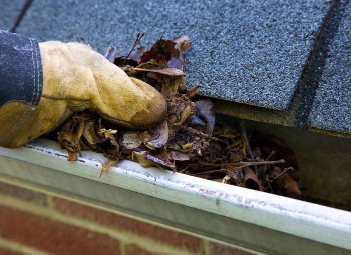 L'hiver est terminé ? 12 choses à faire dès maintenant pour préparer le printemps