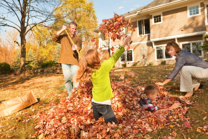 Une famille ratisse les feuilles mortes à l'extérieur, travaillant en équipe dans le jardin de leur maison. Des enfants, un garçon et une fille, apportent leur aide aux parents pour ratisser et ramasser les feuilles. Un immeuble résidentiel, leur maison, est en arrière-plan. Le groupe joyeux évoque le travail d'équipe et la solidarité alors qu'ils accomplissent les tâches de jardinage d'automne.