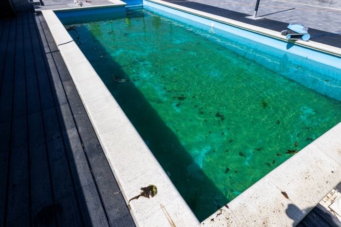 Piscine sale avec eau verte.