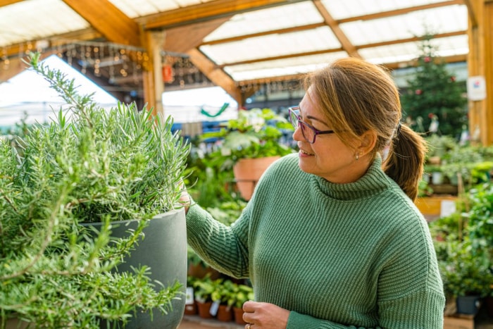 Une femme portant des lunettes choisit parmi des plantes dans une pépinière.