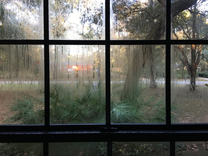 vue de la fenêtre avec des arbres à l'extérieur et de la condensation sur les vitres