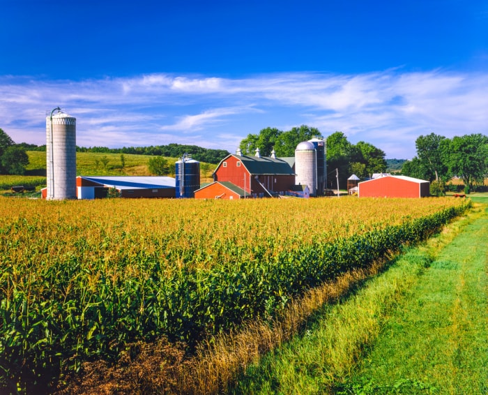 maison de ferme et champ de maïs dans l'Iowa