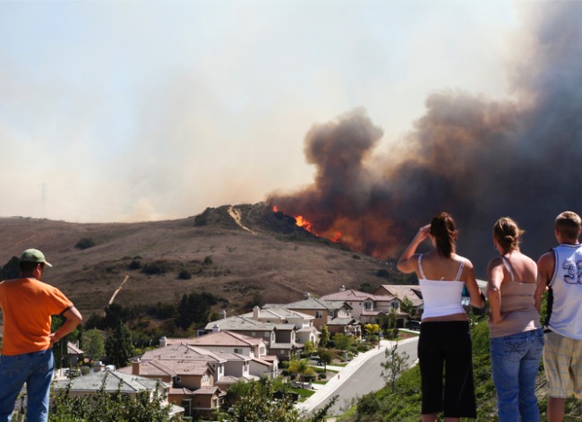 Comment protéger votre propriété des incendies de forêt