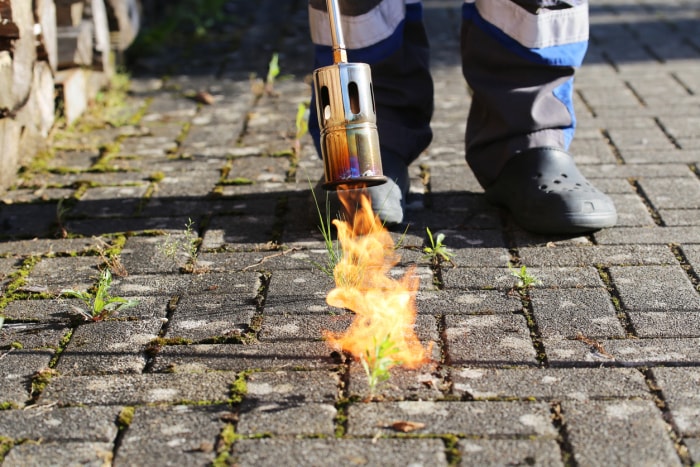 Un homme détruit les mauvaises herbes avec un désherbant