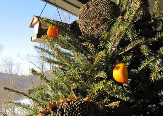 Mangeoire à oiseaux pour sapin de Noël