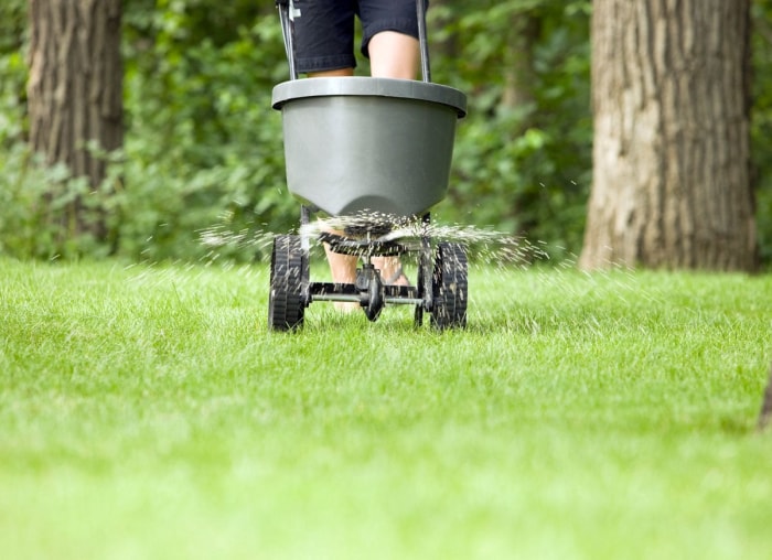 L'hiver est terminé ? 12 choses à faire dès maintenant pour préparer le printemps