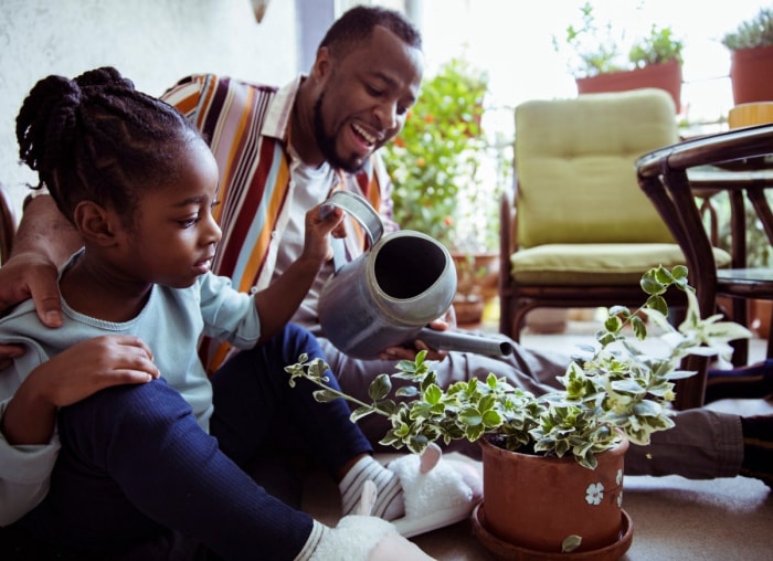 11 projets de jardinage d'intérieur que tout le monde peut réaliser