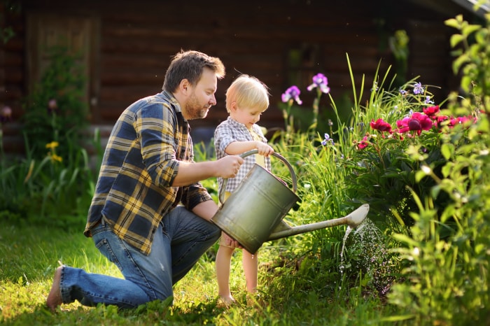 Homme d'âge mûr et son petit fils arrosant des fleurs dans le jardin lors d'une journée d'été ensoleillée. Activité de jardinage avec un enfant et sa famille