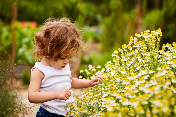 14 façons de sécuriser votre jardin pour les enfants