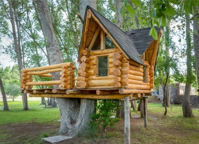 12 idées uniques de cabanes dans les arbres pour votre jardin