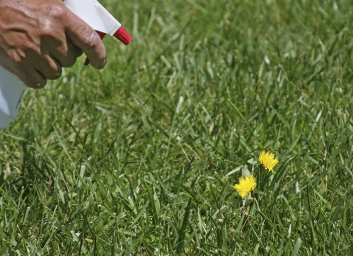 15 astuces à connaître si vous détestez les travaux de jardinage d'automne