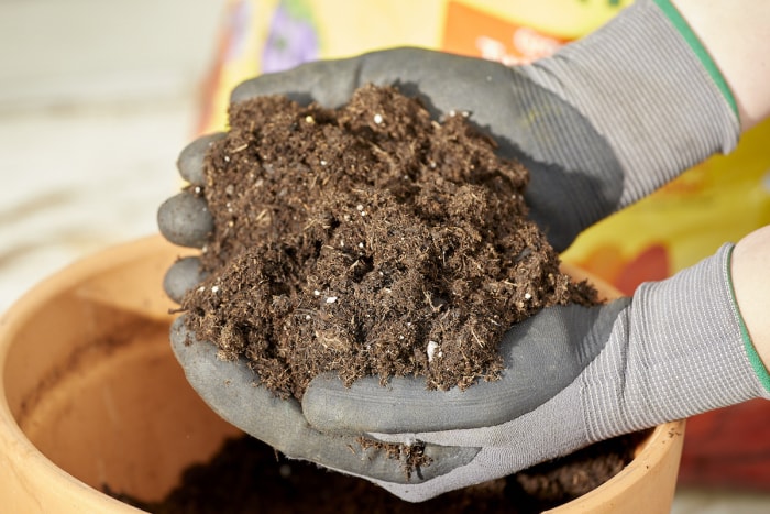 Femme portant des gants de jardinage et tenant du terreau dans ses mains au-dessus d'un pot en terre cuite.