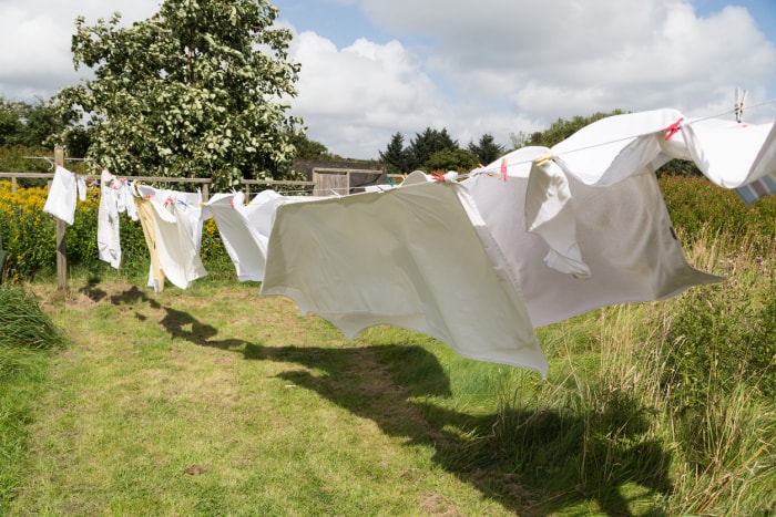 linge de lit séchant sur une corde à linge dans le jardin