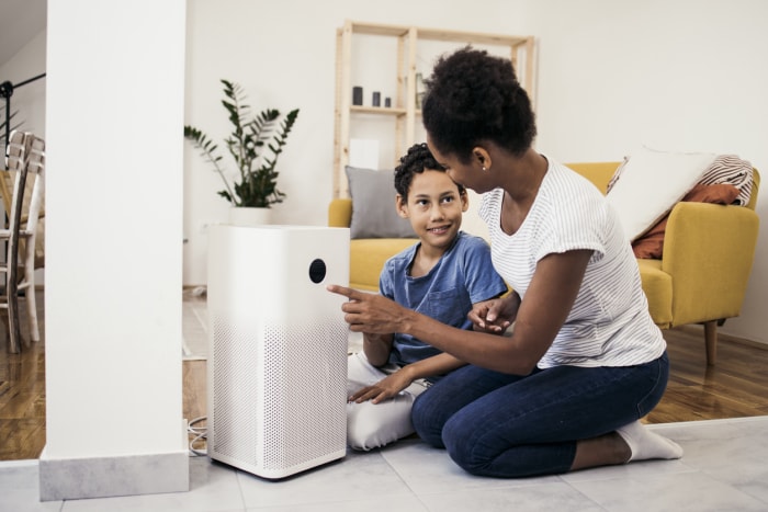 iStock-1338702572 À faire en décembre Une femme et son fils installent un filtre à air