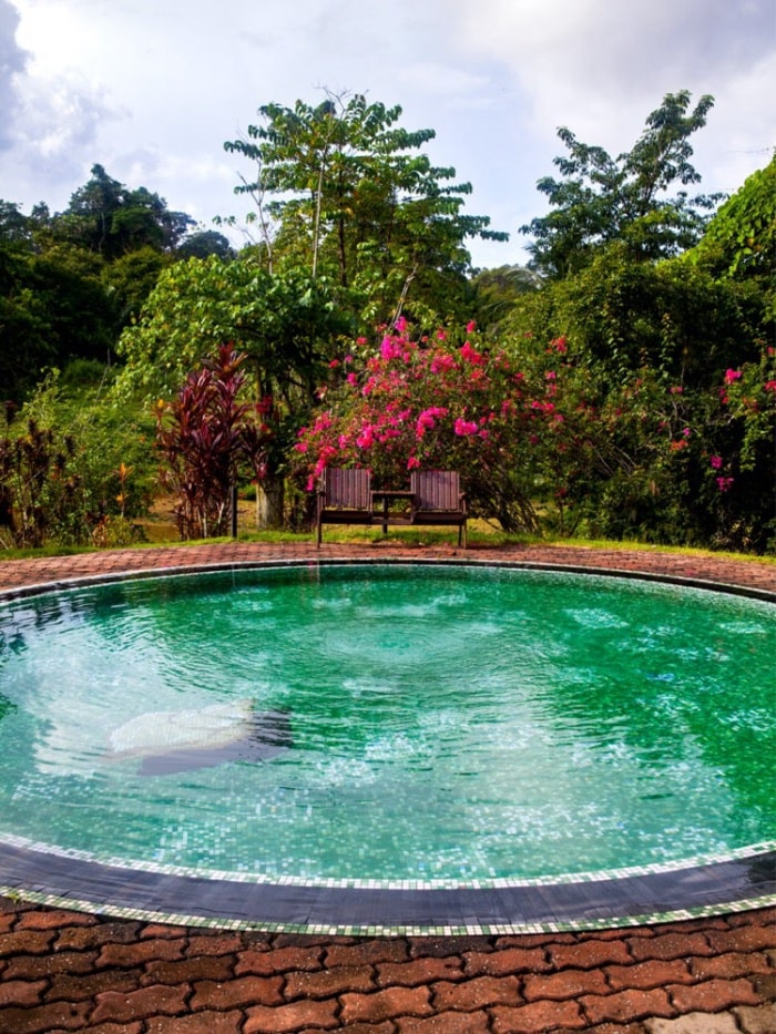 11 façons d'aménager une petite piscine dans votre jardin