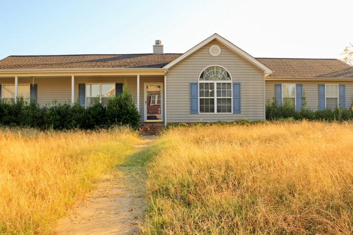 maison de style ranch avec une cour mal entretenue et une pelouse jaune sèche envahie par la végétation