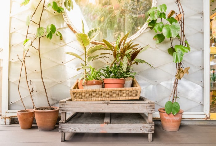 décorer avec des miroirs miroir extérieur