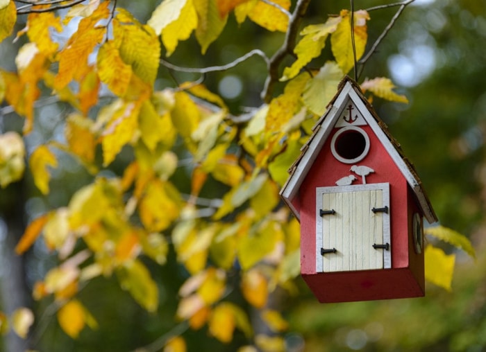 25 façons d'embellir votre jardin sans rien planter