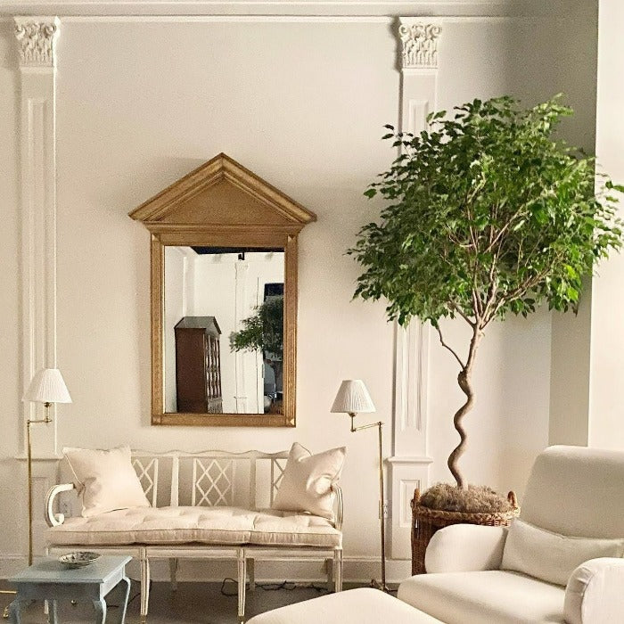 Salon classique avec des meubles blancs, un arbre vert, un miroir en bois et des murs peints en Pointing par Farrow & Ball.