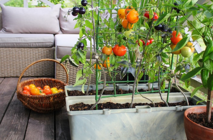 façons d'économiser de l'argent à la maison - jardin sur le porche